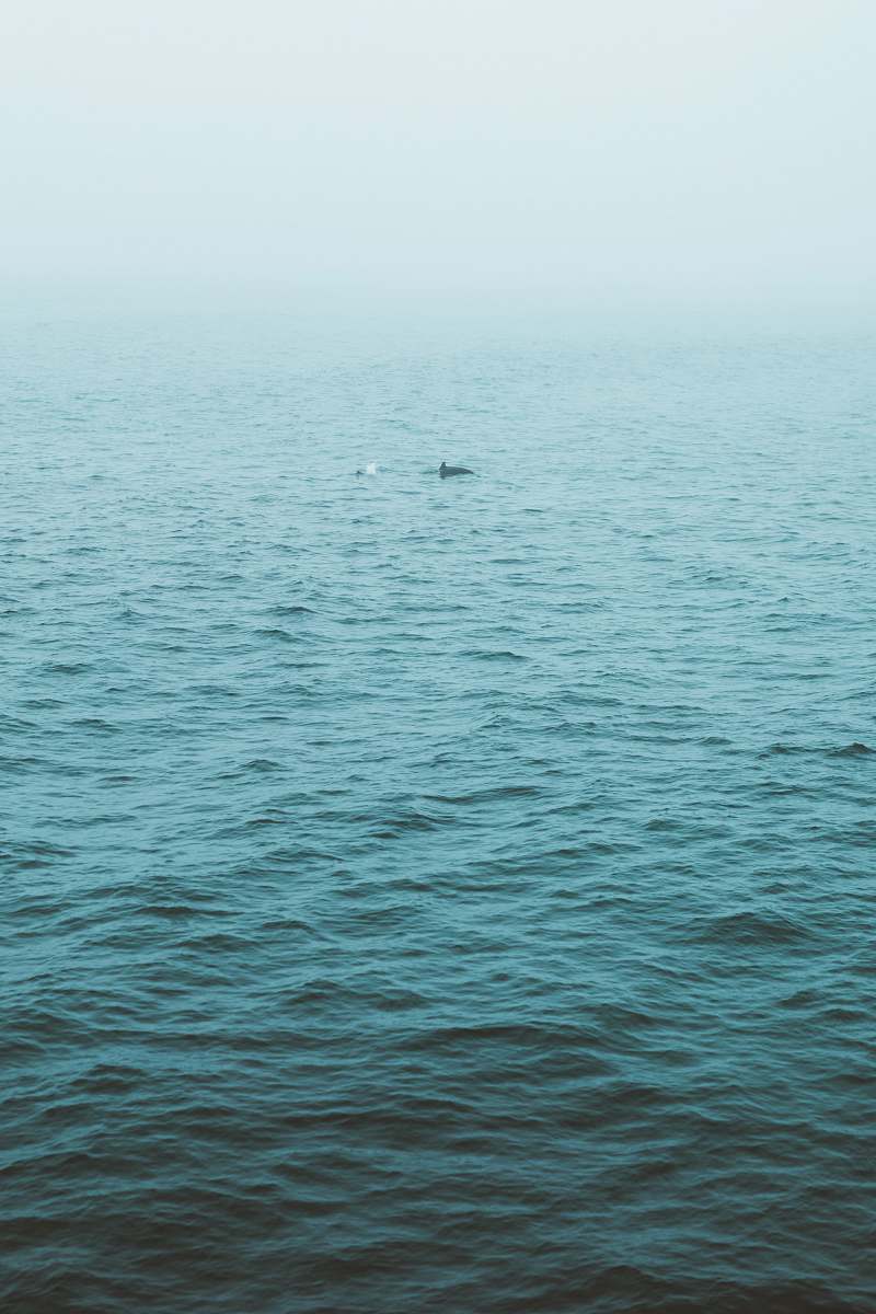 manhattan beach body of water blue